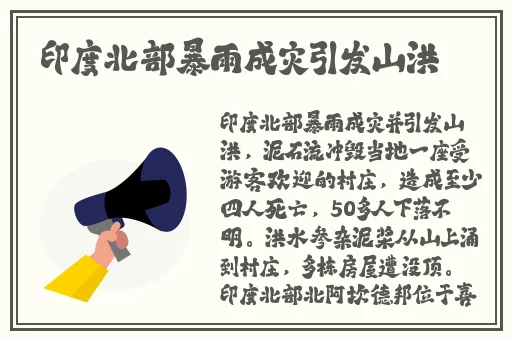中国BBBBBBBBB****